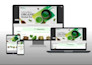 design, redesign or duplicate a wordpress website